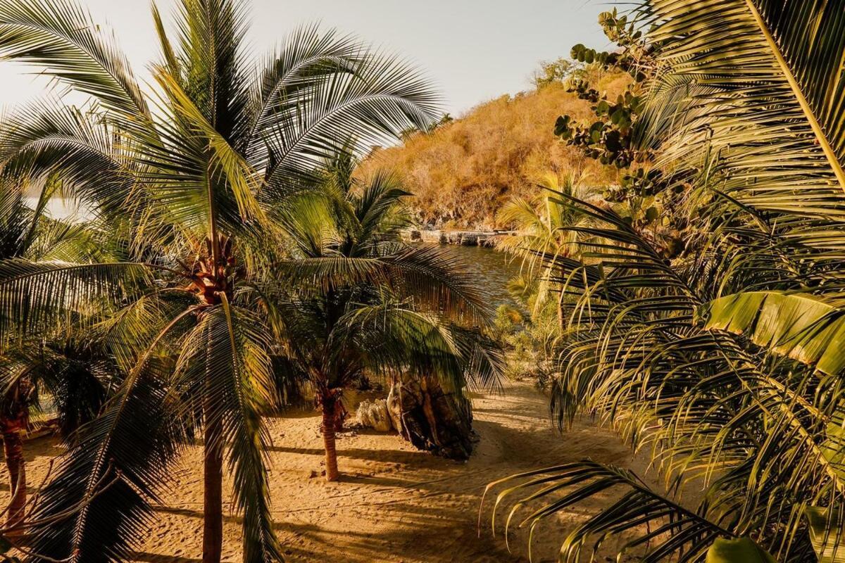 Dream Villa With Private Beach And Catering Zihuatanejo Eksteriør billede