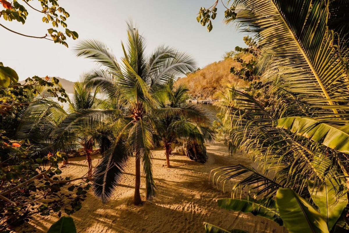 Dream Villa With Private Beach And Catering Zihuatanejo Eksteriør billede
